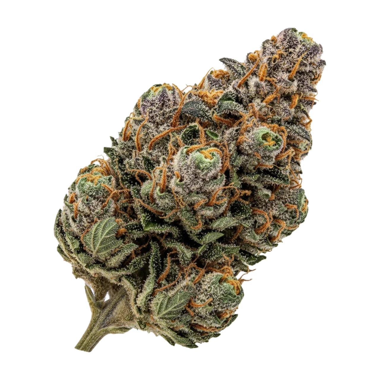 KI-generierte Illustration einer Cannabisblüte, zeigt nicht die tatsächliche Charge – 420 Compound TGY "Tigerz Eye"