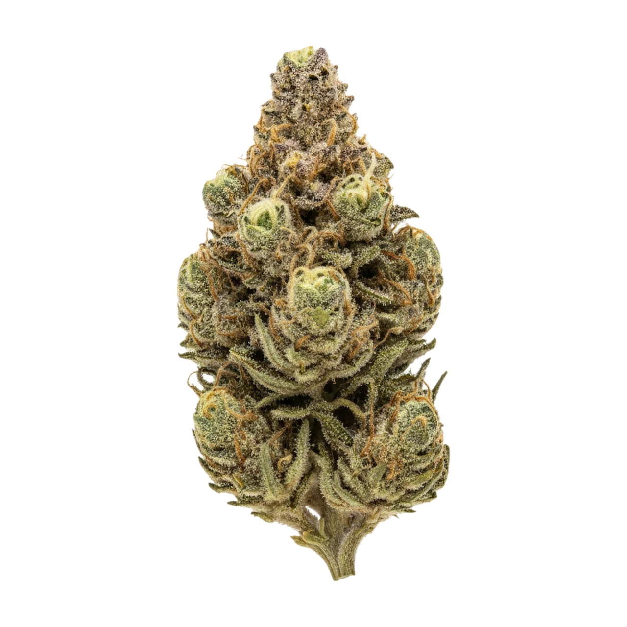 KI-generierte Illustration einer Cannabisblüte, zeigt nicht die tatsächliche Charge – 420 Compound CA PPE "Platinum Pavé"