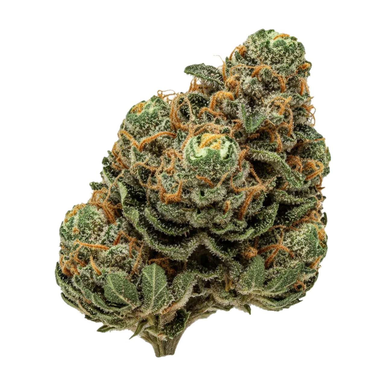KI-generierte Illustration einer Cannabisblüte, zeigt nicht die tatsächliche Charge – 420 Evolution 27/1 CA MGD "Magic Gum Drop"