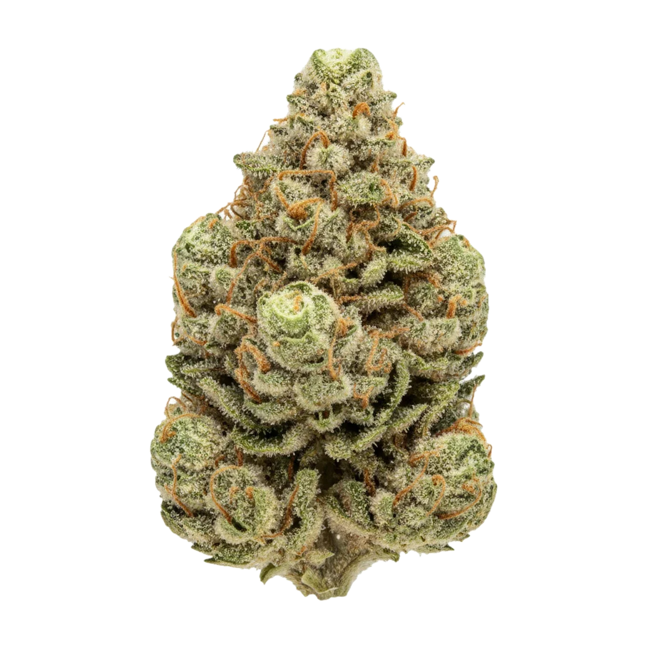 KI-generierte Illustration einer Cannabisblüte, zeigt nicht die tatsächliche Charge – 420 Evolution 27/1 ICC "Ice Cream Cake"