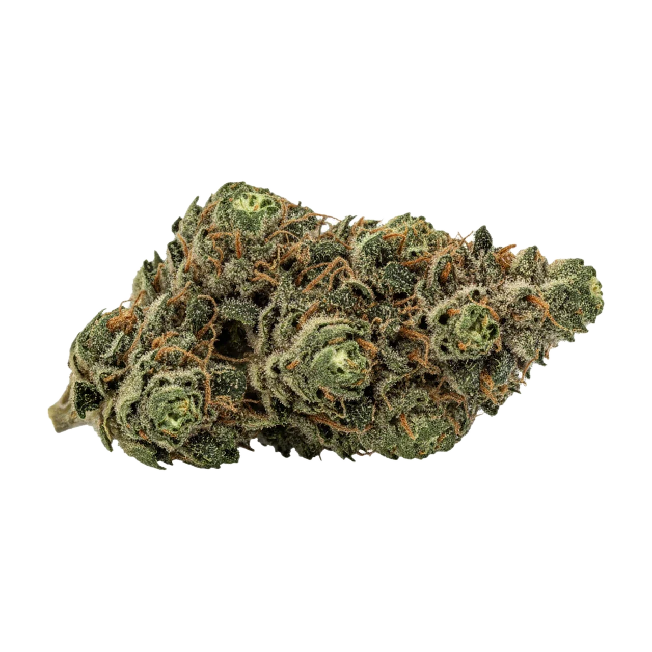 KI-generierte Illustration einer Cannabisblüte, zeigt nicht die tatsächliche Charge – 420 Evolution WES "Wedding Singer"