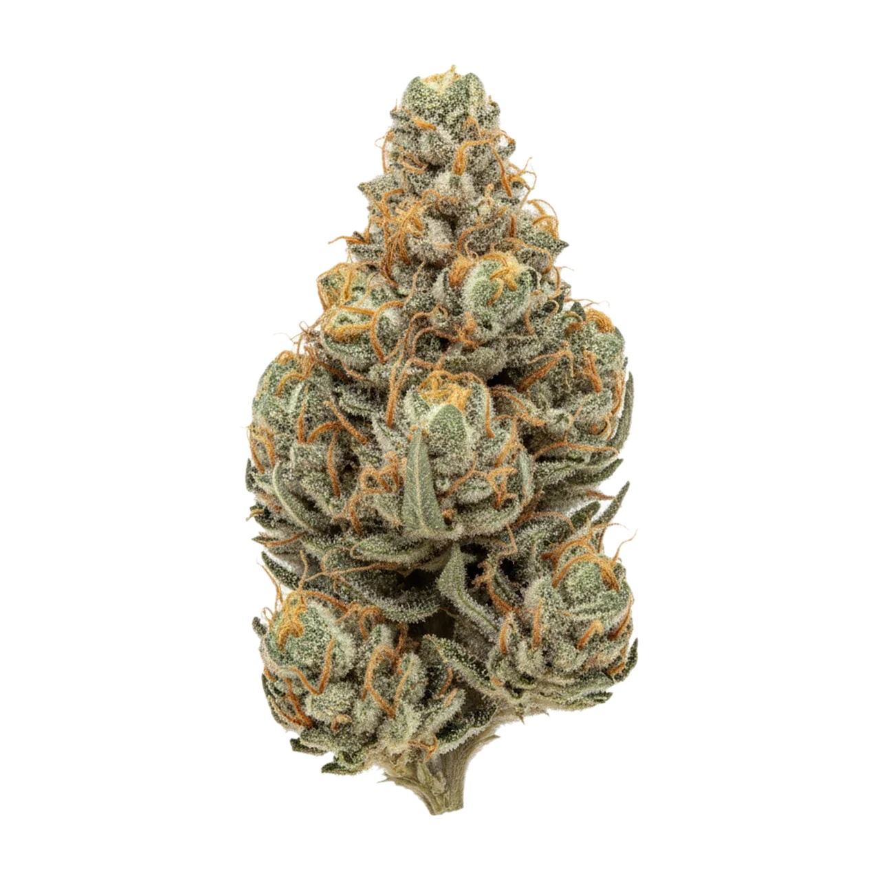 KI-generierte Illustration einer Cannabisblüte, zeigt nicht die tatsächliche Charge – 420 Evolution FLM "Frozen Lemon Mints"