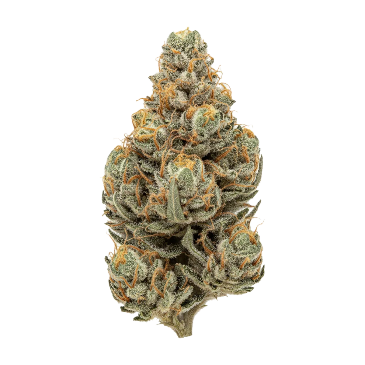 KI-generierte Illustration einer Cannabisblüte, zeigt nicht die tatsächliche Charge – 420 Evolution FLM "Frozen Lemon Mints"