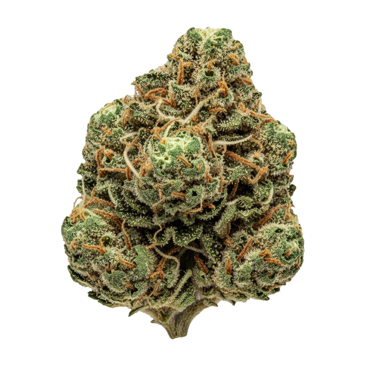 KI-generierte Illustration einer Cannabisblüte, zeigt nicht die tatsächliche Charge – 420 Evolution PCH "Peach Chementine"