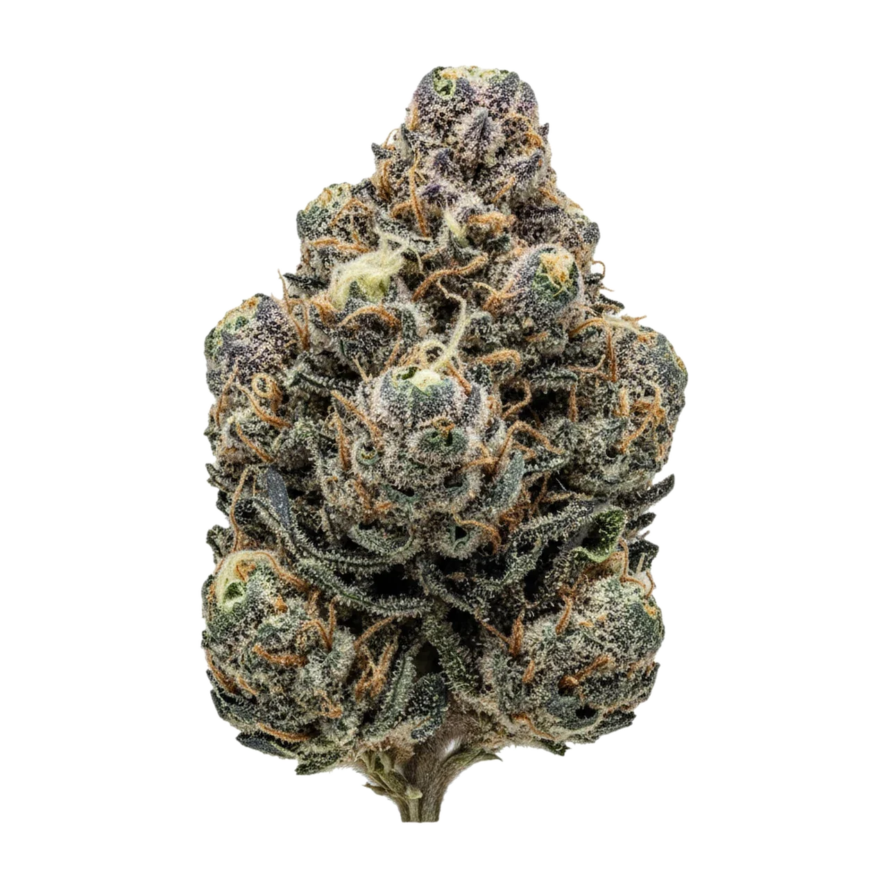 KI-generierte Illustration einer Cannabisblüte, zeigt nicht die tatsächliche Charge – 420 Natural GG4 "Gorilla Glue"