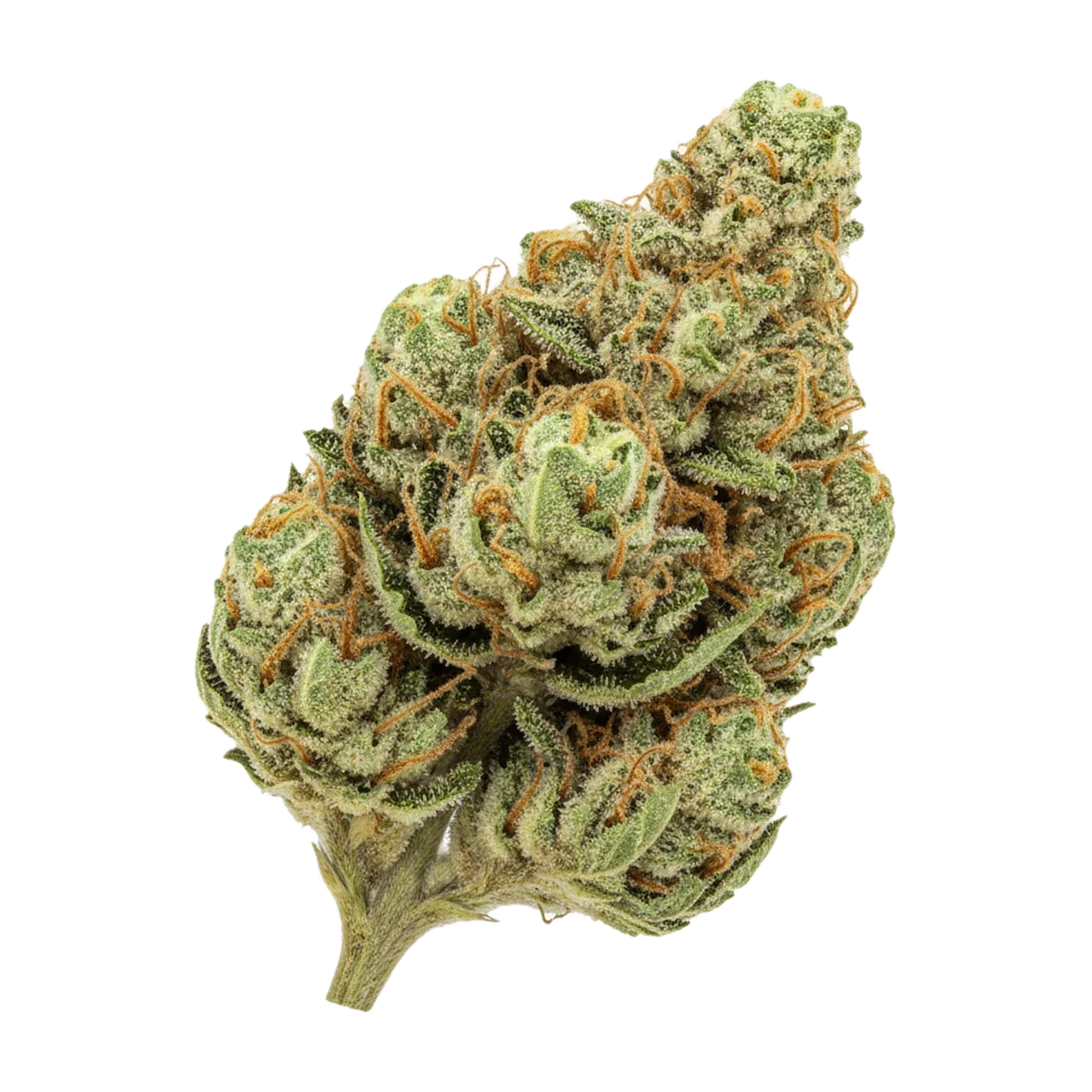 KI-generierte Illustration einer Cannabisblüte, zeigt nicht die tatsächliche Charge – A+ Kineo Craft No. 1 30/1 "Hash Burger"