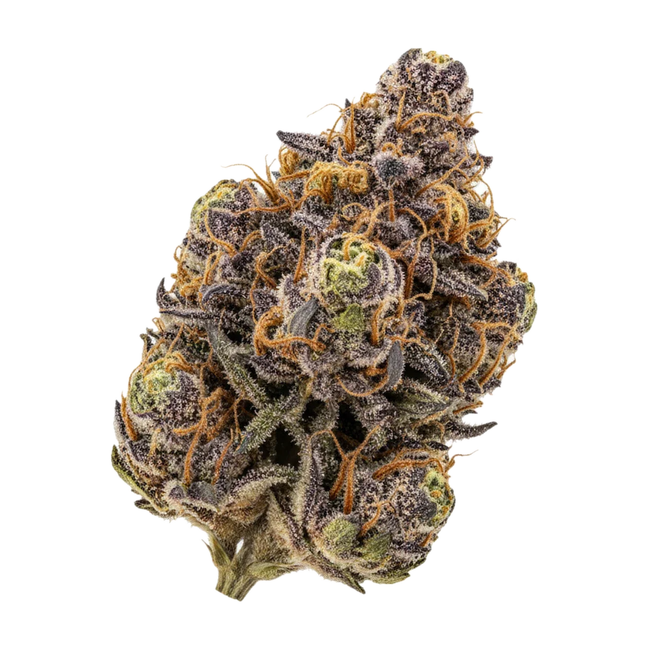 KI-generierte Illustration einer Cannabisblüte, zeigt nicht die tatsächliche Charge – Aleph Amber "Mango Kush"