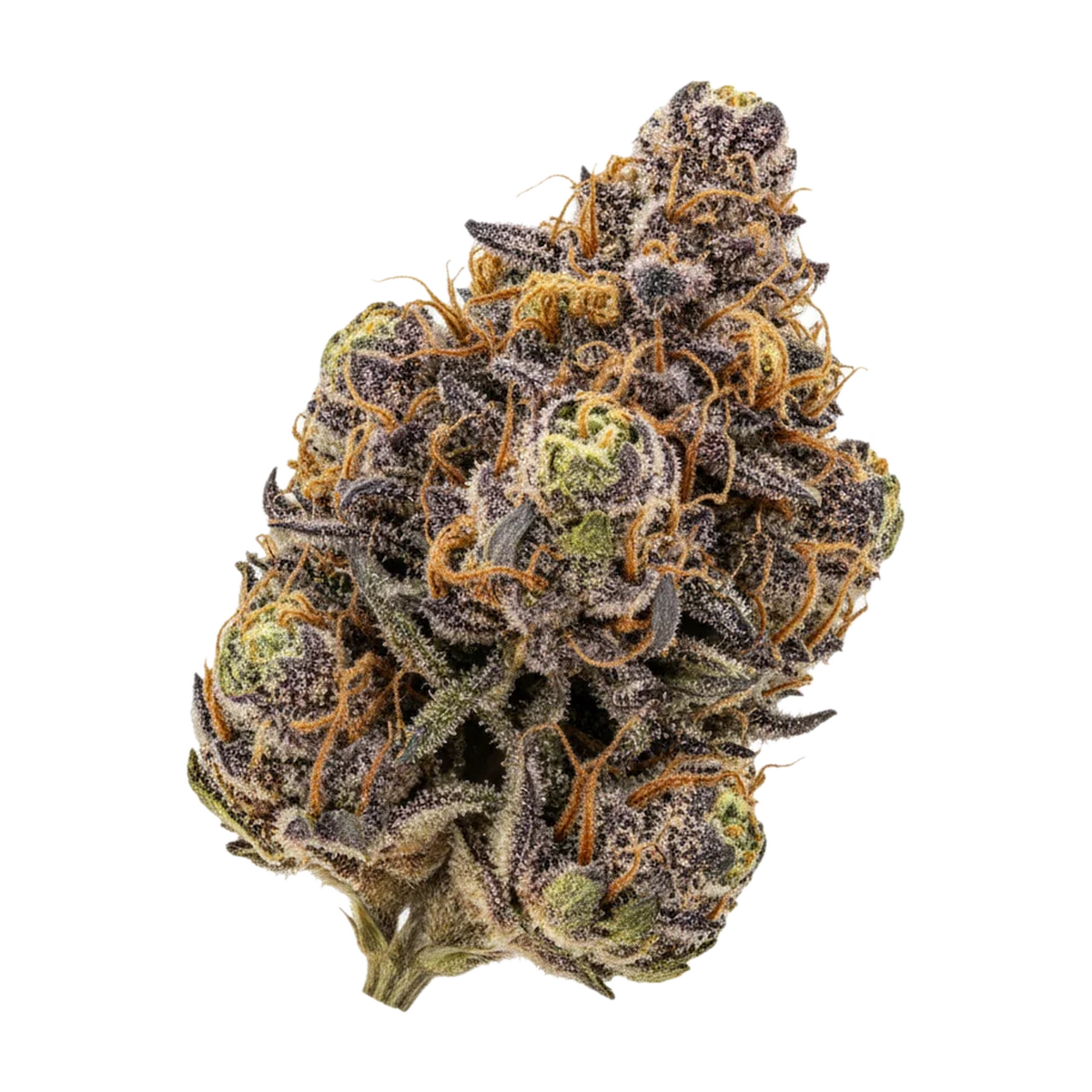 KI-generierte Illustration einer Cannabisblüte, zeigt nicht die tatsächliche Charge – Aleph Amber "Mango Kush"