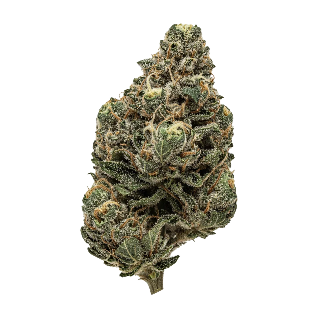 KI-generierte Illustration einer Cannabisblüte, zeigt nicht die tatsächliche Charge – Aleph Red "Hokuzai"
