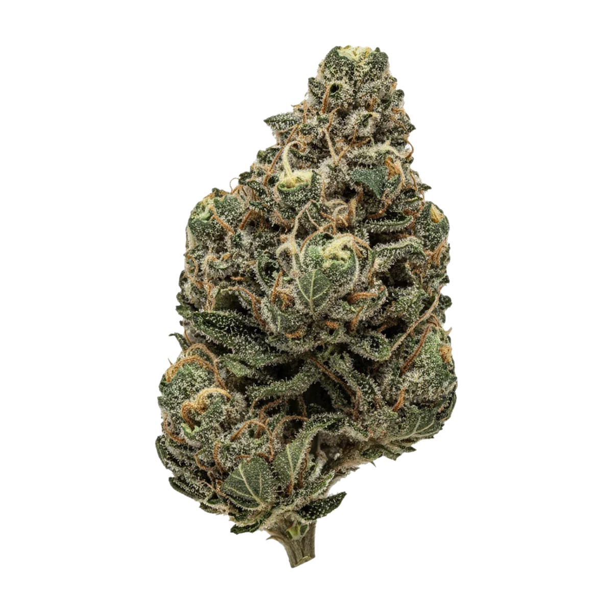 KI-generierte Illustration einer Cannabisblüte, zeigt nicht die tatsächliche Charge – Aleph Red "Hokuzai"