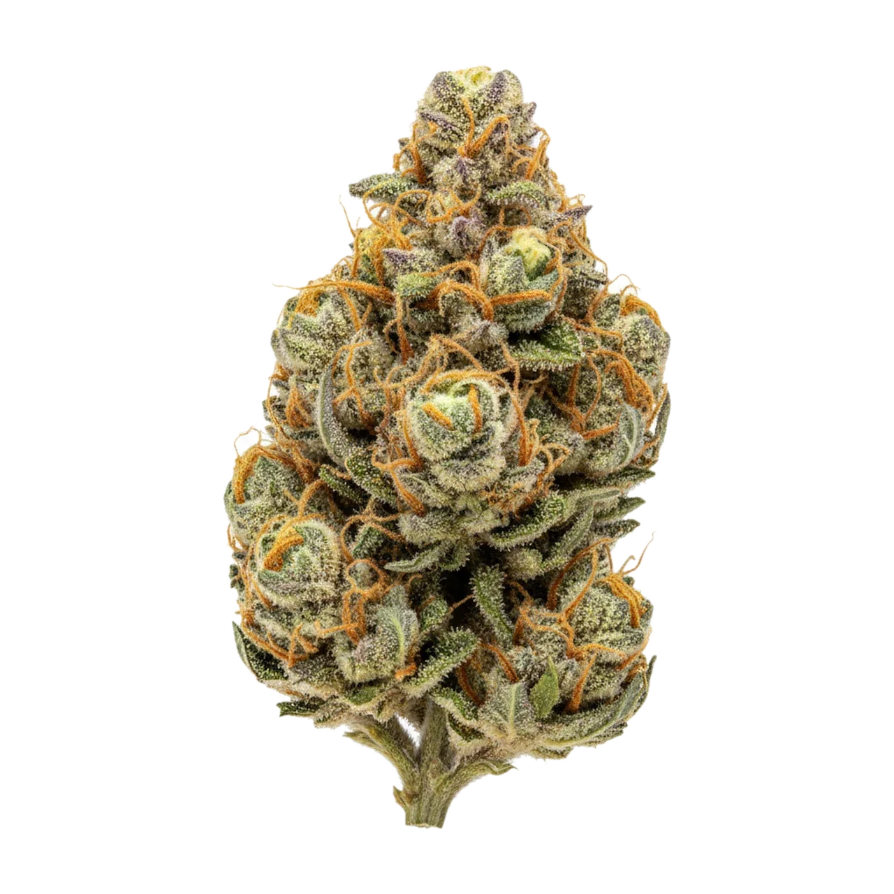 KI-generierte Illustration einer Cannabisblüte, zeigt nicht die tatsächliche Charge – All Nations DK 27/1 "Diamond Kush"