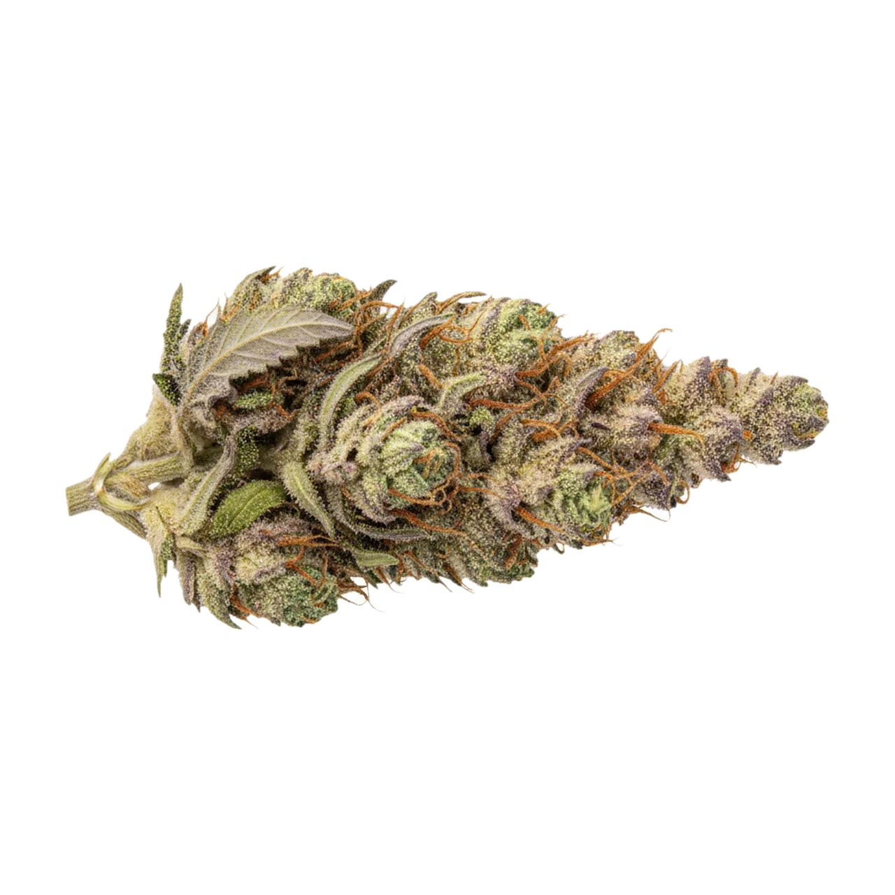 KI-generierte Illustration einer Cannabisblüte, zeigt nicht die tatsächliche Charge – avaay SB "Sunset Berries"