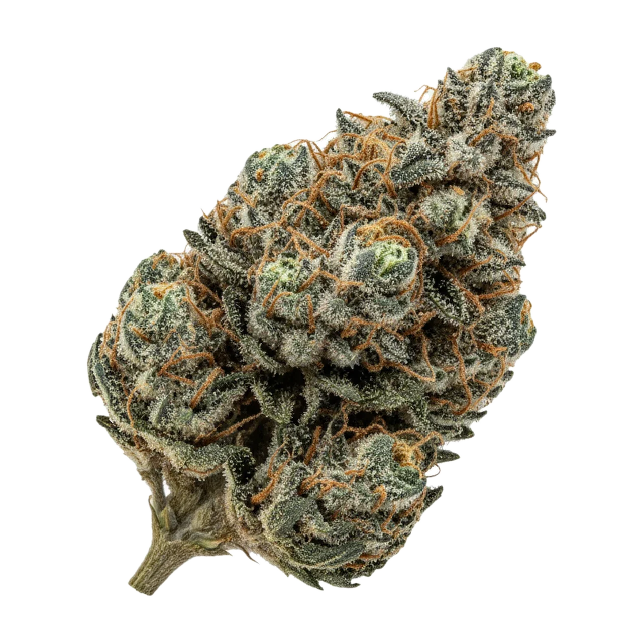 KI-generierte Illustration einer Cannabisblüte, zeigt nicht die tatsächliche Charge – avaay 24/1 BPM "Baby Pam"