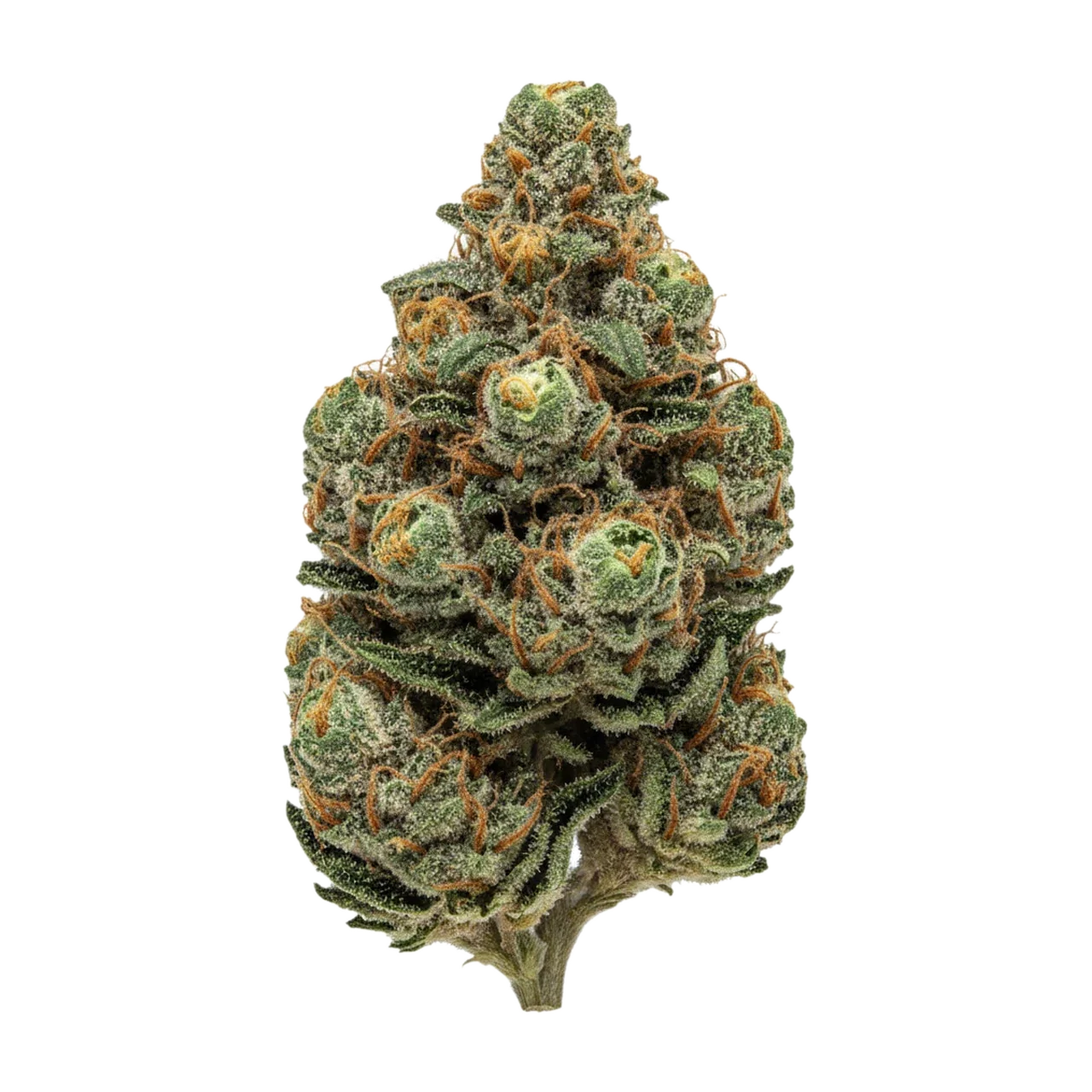 KI-generierte Illustration einer Cannabisblüte, zeigt nicht die tatsächliche Charge – avaay DiD "Do-Si-Dos"