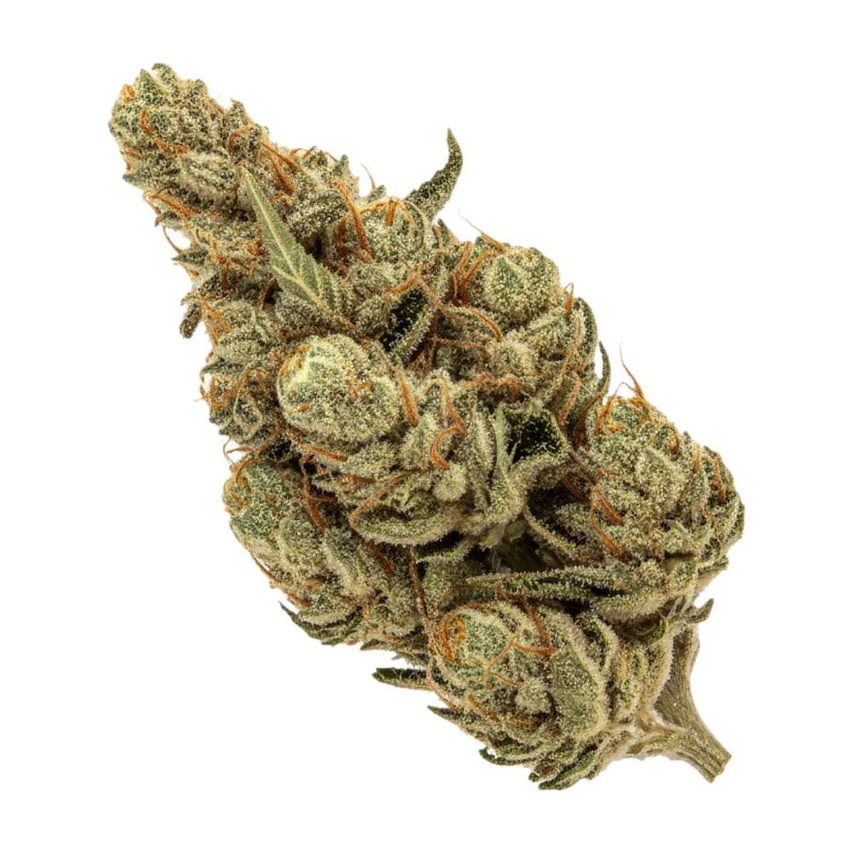 KI-generierte Illustration einer Cannabisblüte, zeigt nicht die tatsächliche Charge – Cannamedical Sativa Forte ES 25/1 "Banjo"