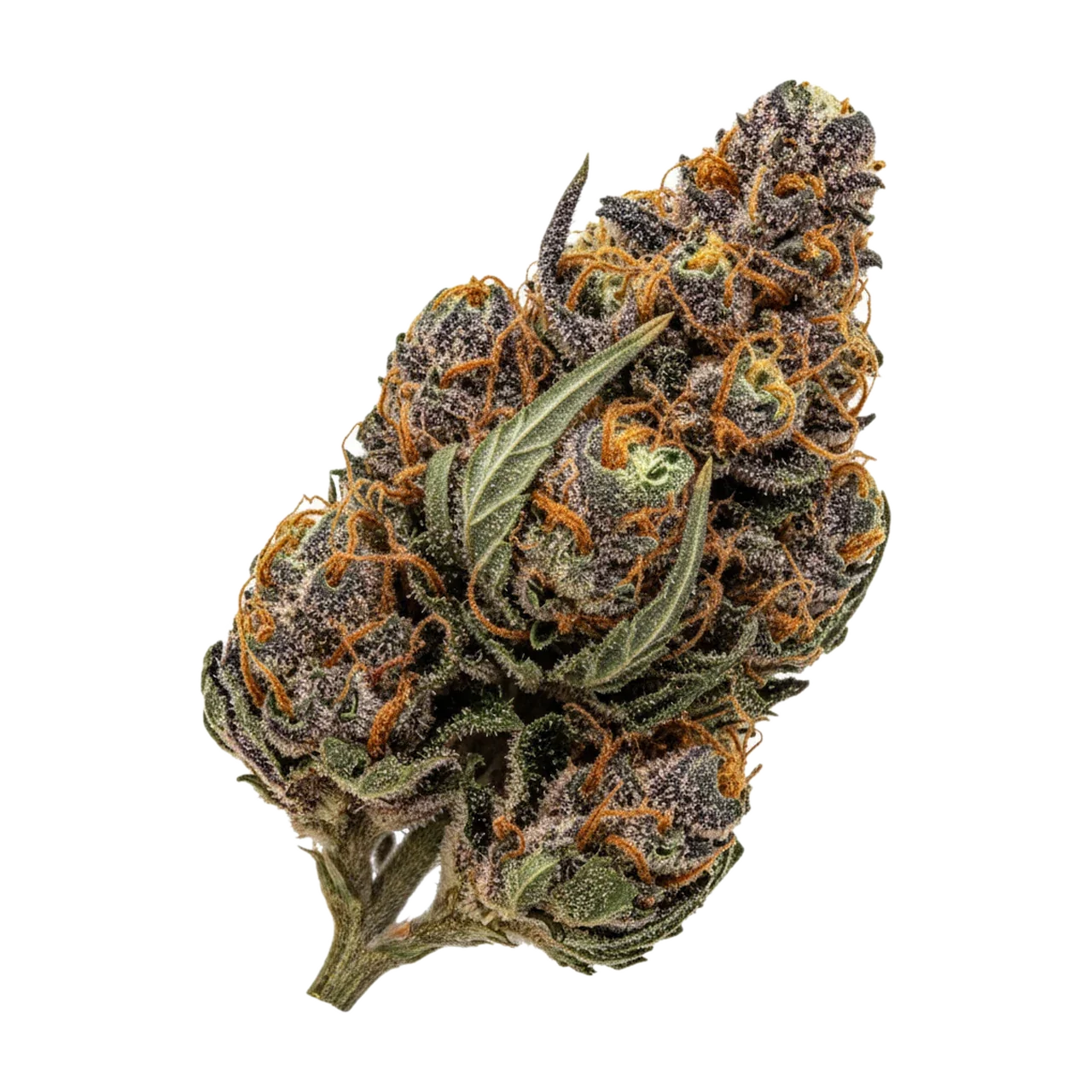 KI-generierte Illustration einer Cannabisblüte, zeigt nicht die tatsächliche Charge – DEMECAN Craft Luna 31/1 "Peechy Keen"