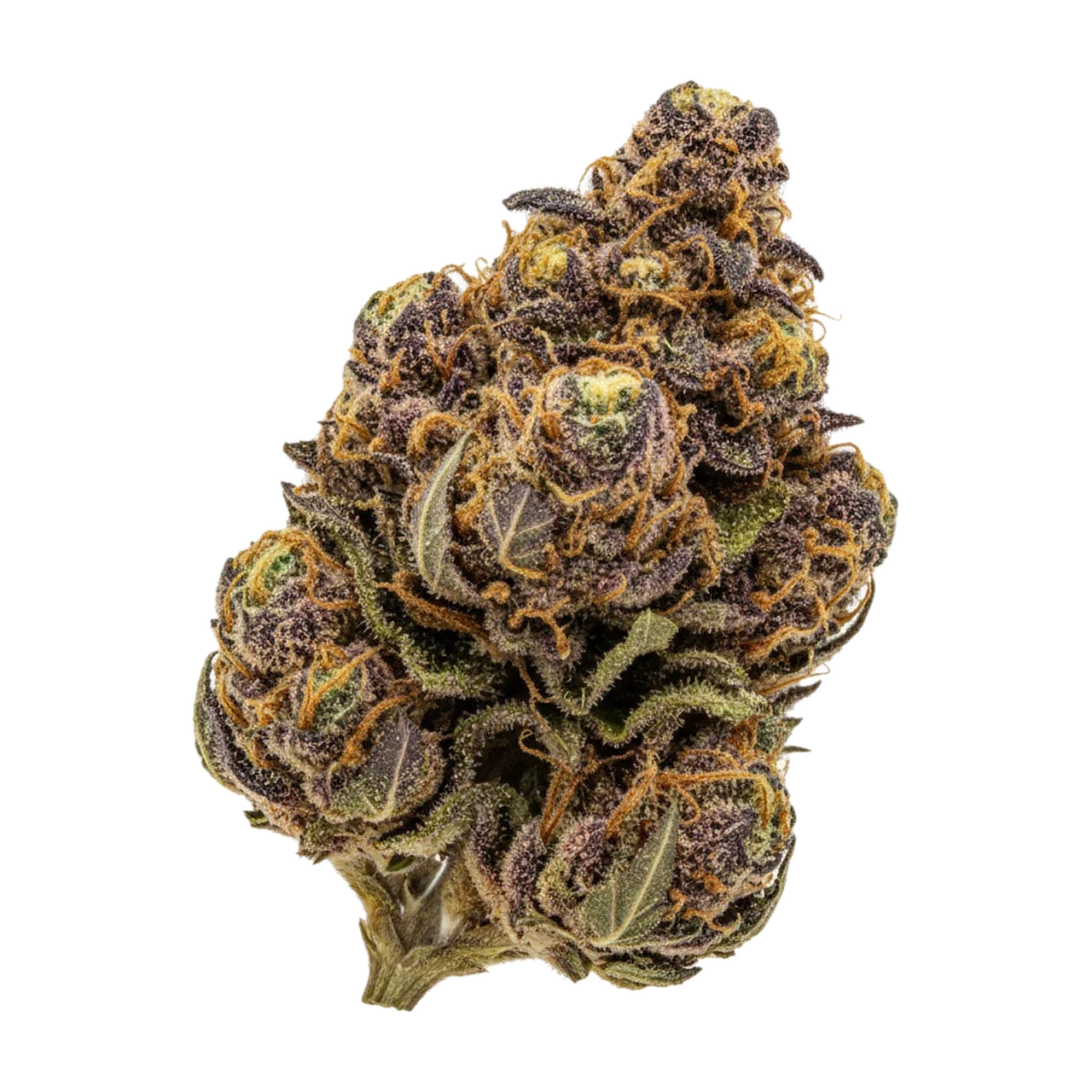 KI-generierte Illustration einer Cannabisblüte, zeigt nicht die tatsächliche Charge – Pedanios 31/1 COS-CA "Cosmic Cream"